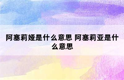 阿塞莉娅是什么意思 阿塞莉亚是什么意思